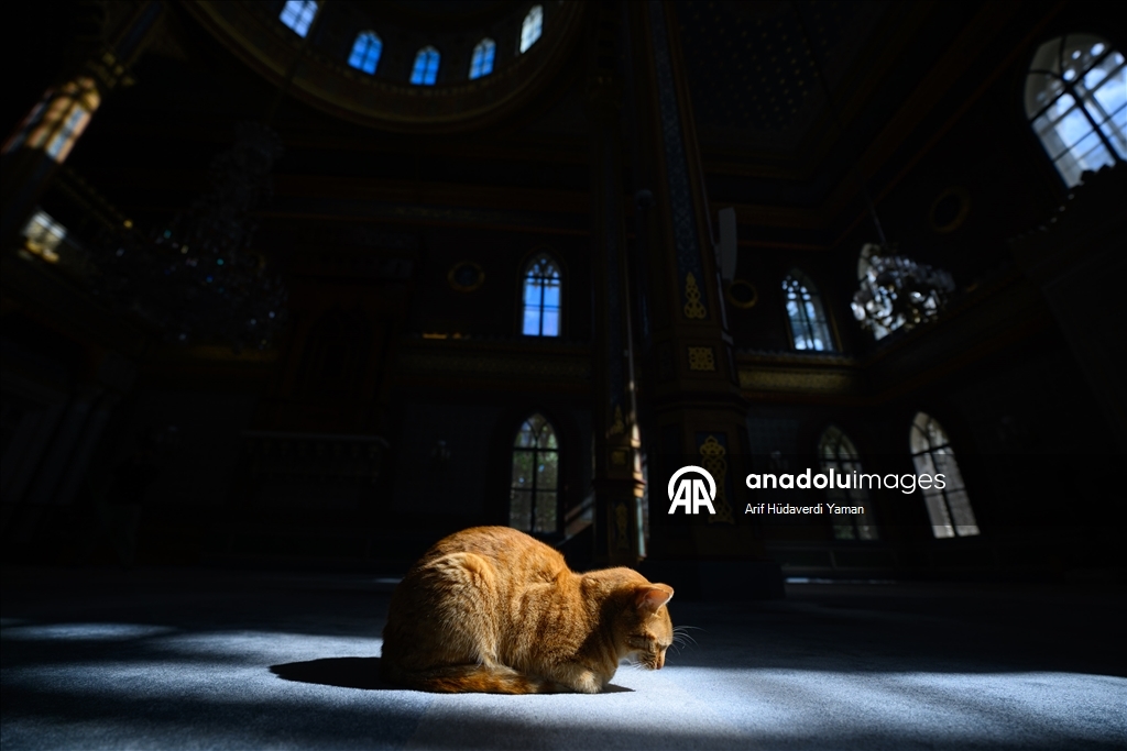 جامع "يلدز" بإسطنبول.. سحر العمارة العثمانية وبصمة عبد الحميد