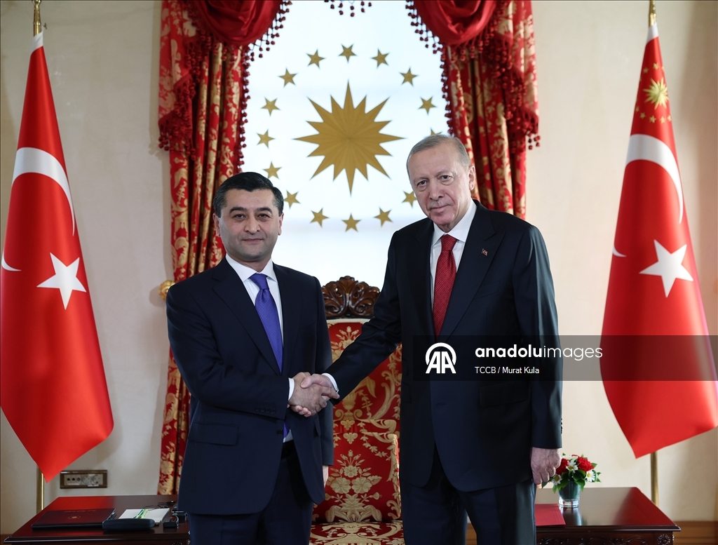 Cumhurbaşkanı Recep Tayyip Erdoğan