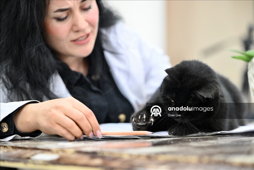 Sevimli kedi "Şükufe" kursiyerlerin neşe kaynağı oldu