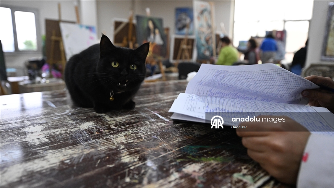 Sevimli kedi "Şükufe" kursiyerlerin neşe kaynağı oldu