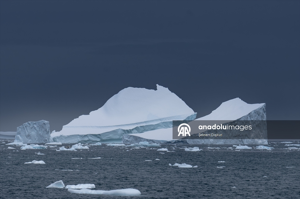 Shoesmith Buzulu yılda yaklaşık 10 metre küçülüyor