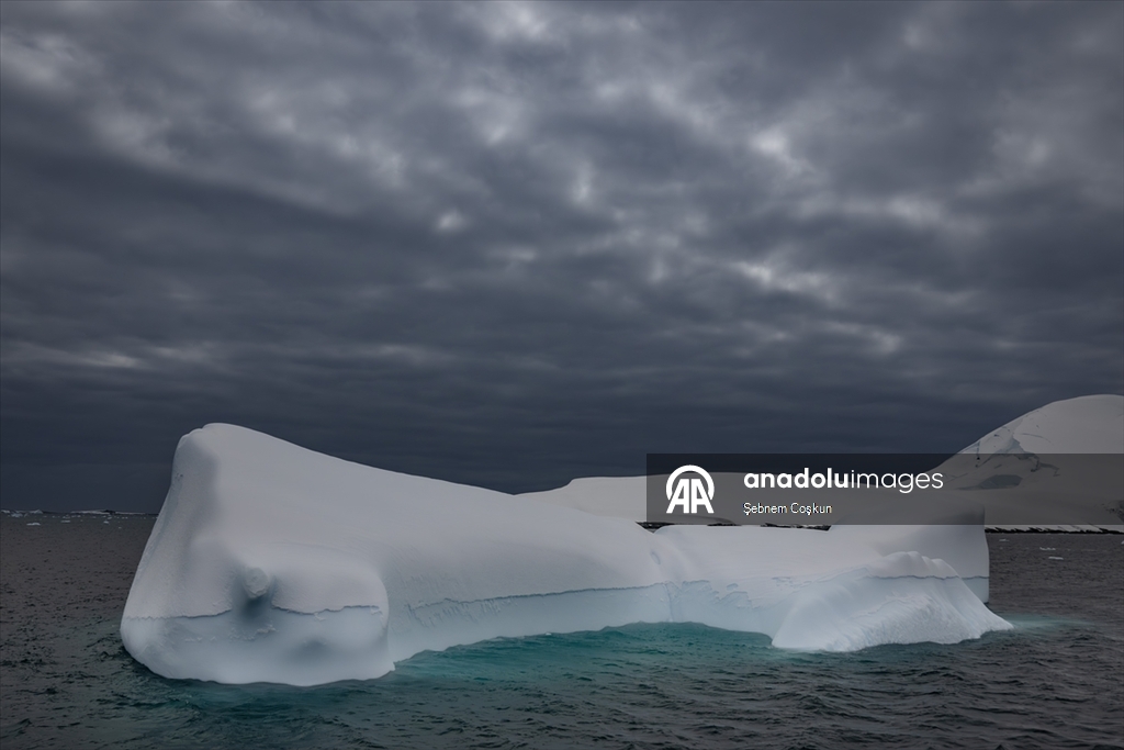 Shoesmith Buzulu yılda yaklaşık 10 metre küçülüyor