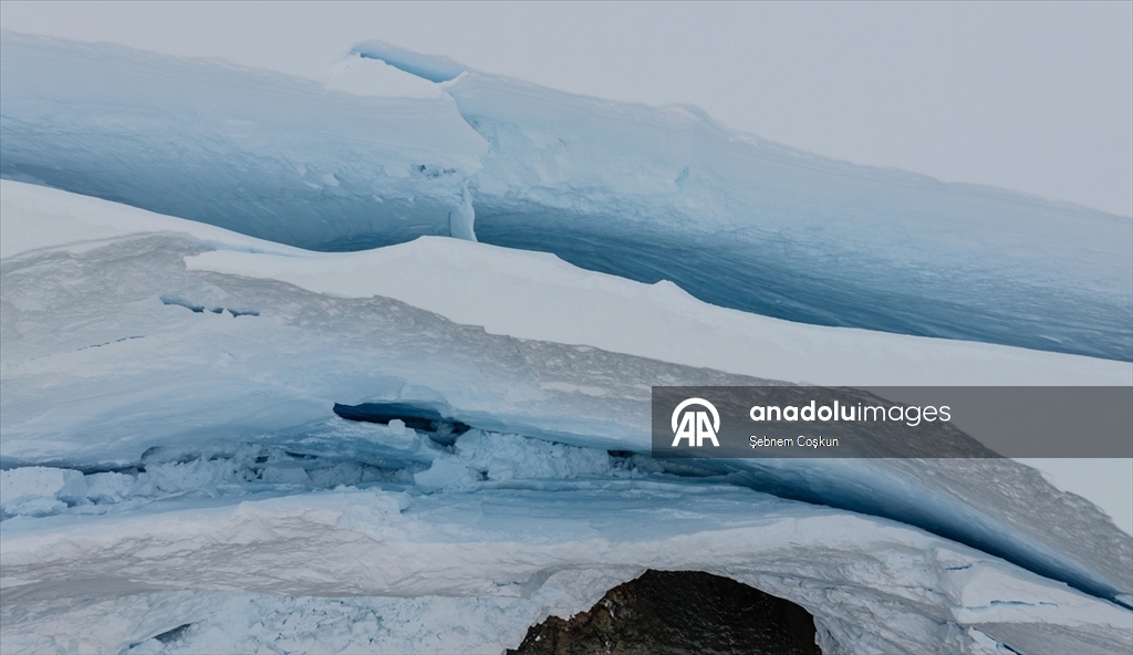 Shoesmith Buzulu yılda yaklaşık 10 metre küçülüyor