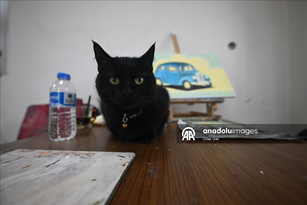 Sevimli kedi "Şükufe" kursiyerlerin neşe kaynağı oldu