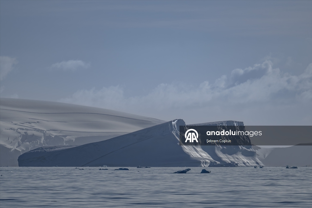 Shoesmith Buzulu yılda yaklaşık 10 metre küçülüyor