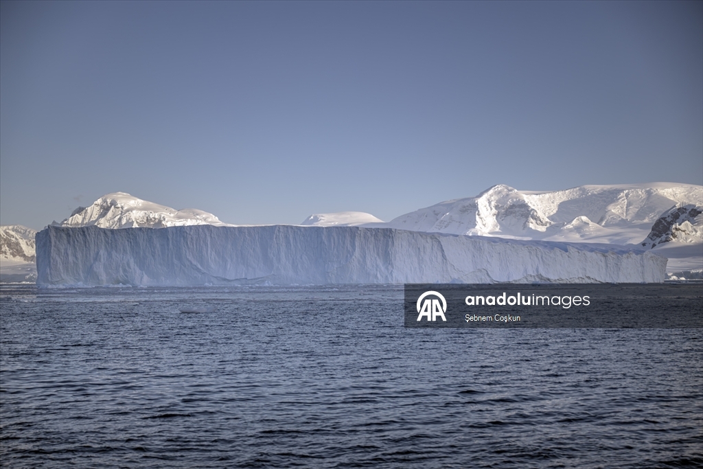 Shoesmith Buzulu yılda yaklaşık 10 metre küçülüyor