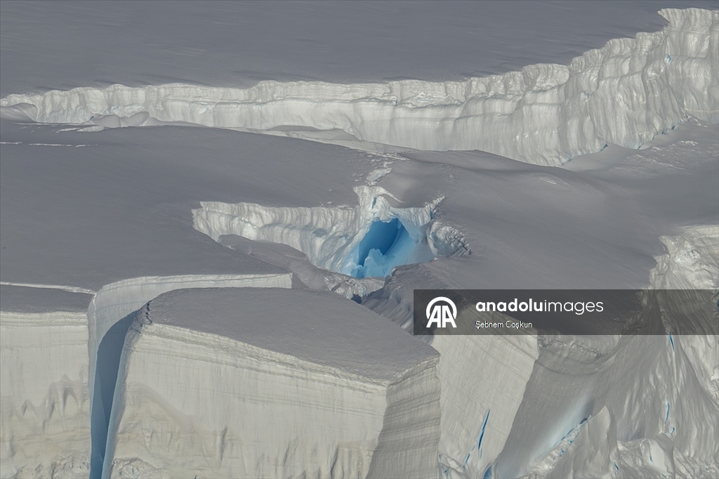 Shoesmith Buzulu yılda yaklaşık 10 metre küçülüyor