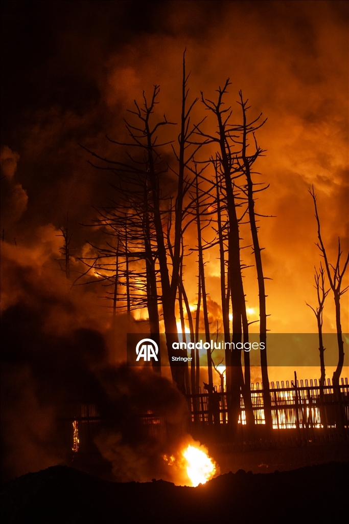 ABD ve İsrail'in hedef aldığı Tahran’daki Şehran petrol deposunda yangın çıktı