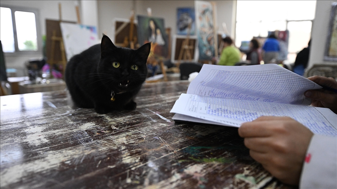 Sevimli kedi "Şükufe" kursiyerlerin neşe kaynağı oldu