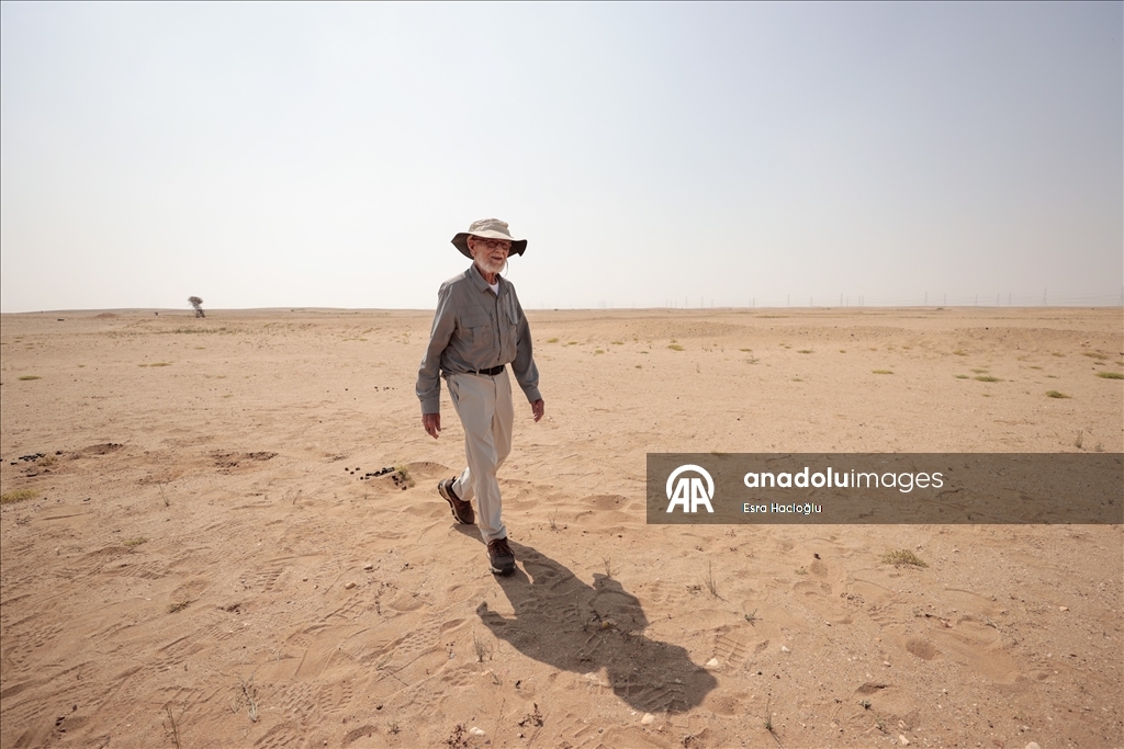 ABD'li David, eşine verdiği sözü tutmak için 83 yaşında umre yapıp hicret yürüyüşüne katıldı