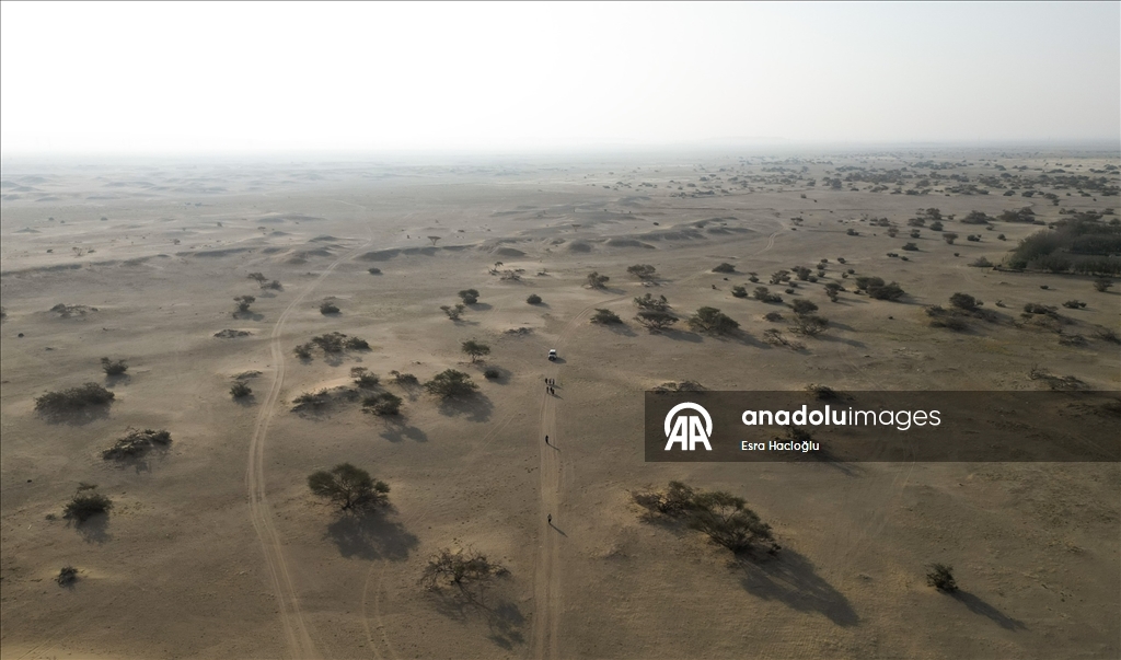 ABD'li David, eşine verdiği sözü tutmak için 83 yaşında umre yapıp hicret yürüyüşüne katıldı