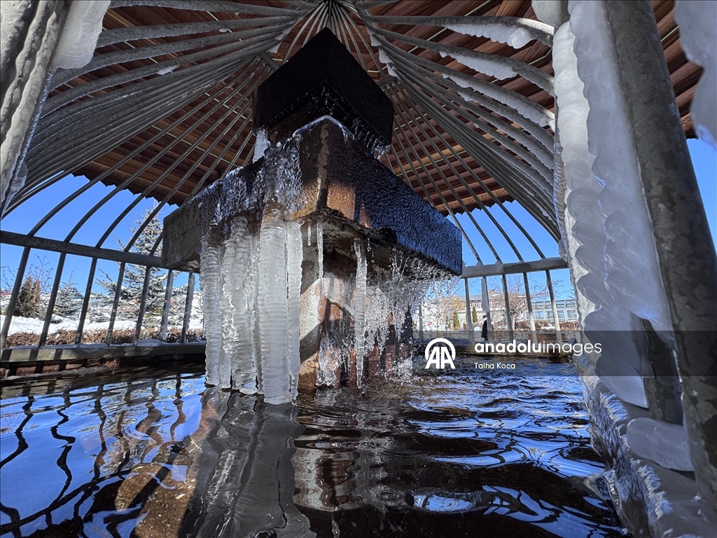 Erzurum'da soğuk hava 