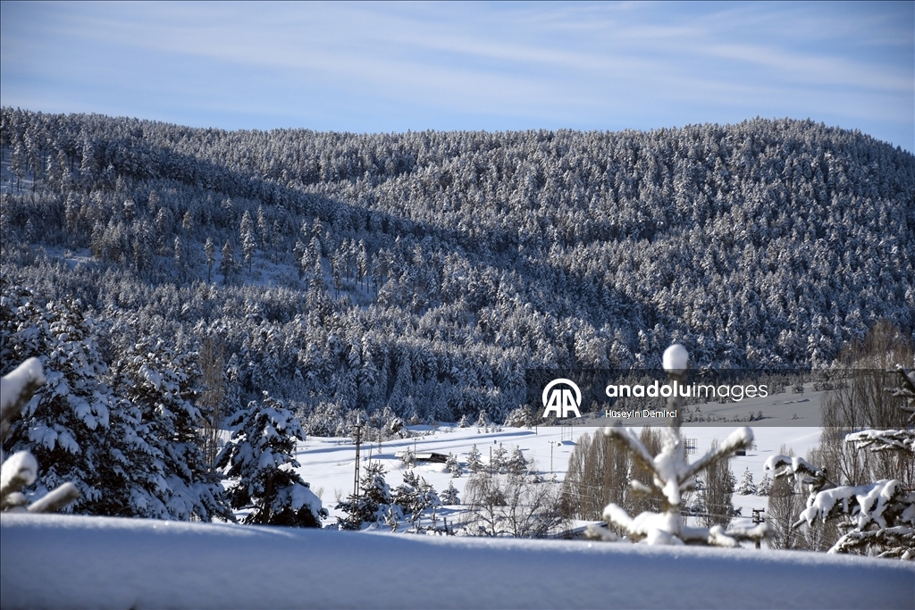 Kars'ta soğuk hava 