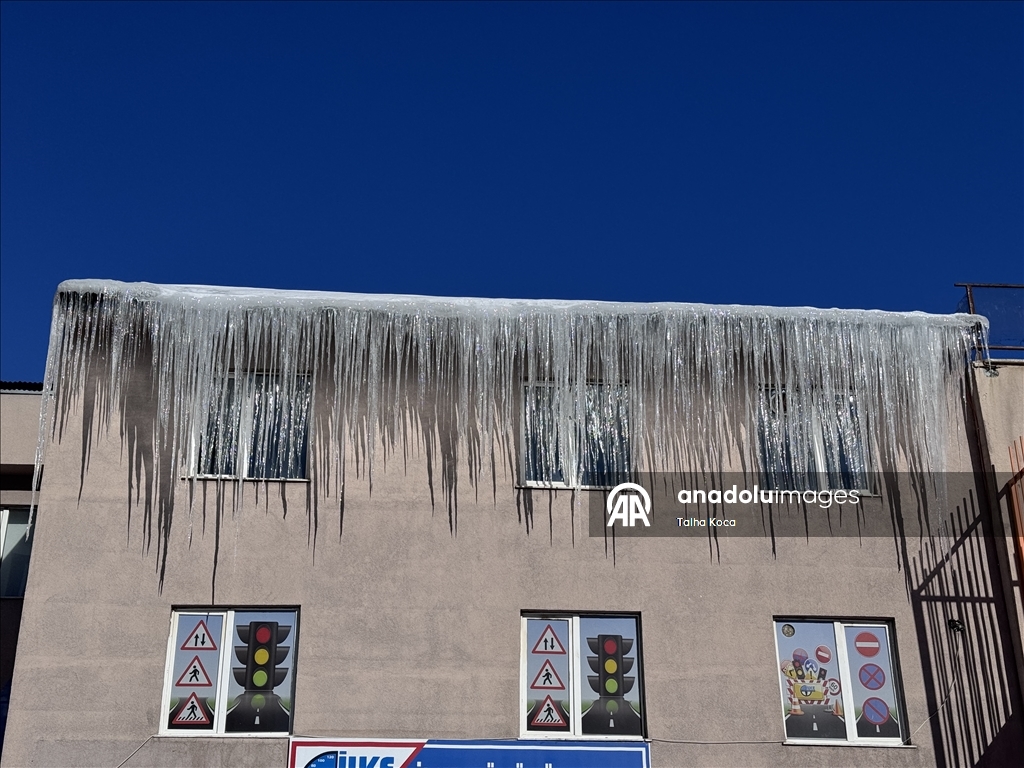 Erzurum'da soğuk hava 