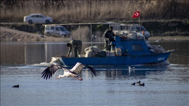 "Baharın müjdecisi" leylekler Karakaya Barajı etrafındaki yuvalarına dönmeye başladı