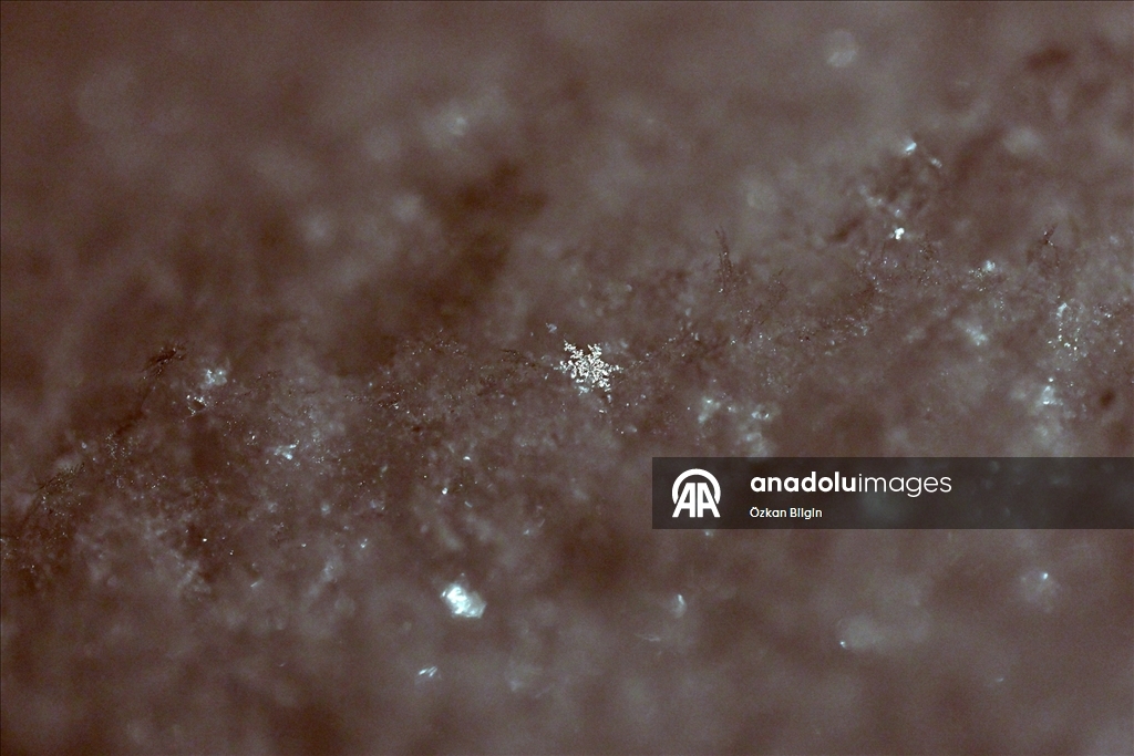 Van'da kar kristallerinin farklı şekilleri objektife yansıtıldı