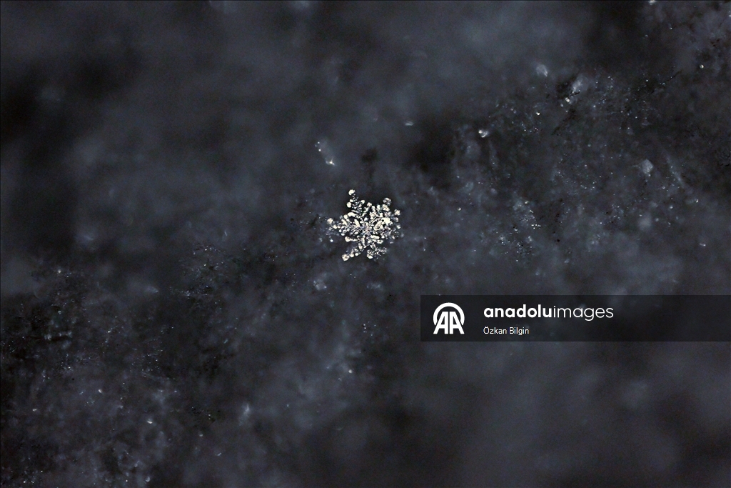 Разнообразные формы снежных кристаллов в Ване запечатлены на камеру