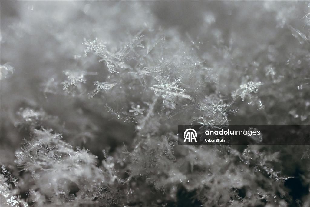 Van'da kar kristallerinin farklı şekilleri objektife yansıtıldı