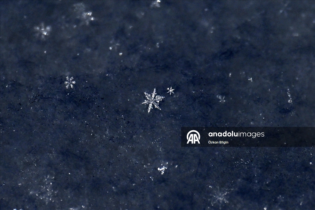 Van'da kar kristallerinin farklı şekilleri objektife yansıtıldı