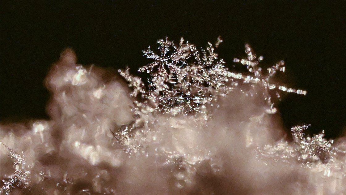 Van'da kar kristallerinin farklı şekilleri objektife yansıtıldı