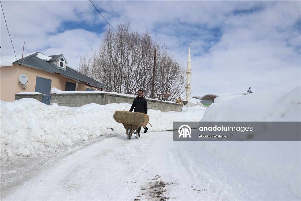 Baharda ev ve ahırların kara gömüldüğü Ağrı'nın köylerinde yaşam zorlu geçiyor