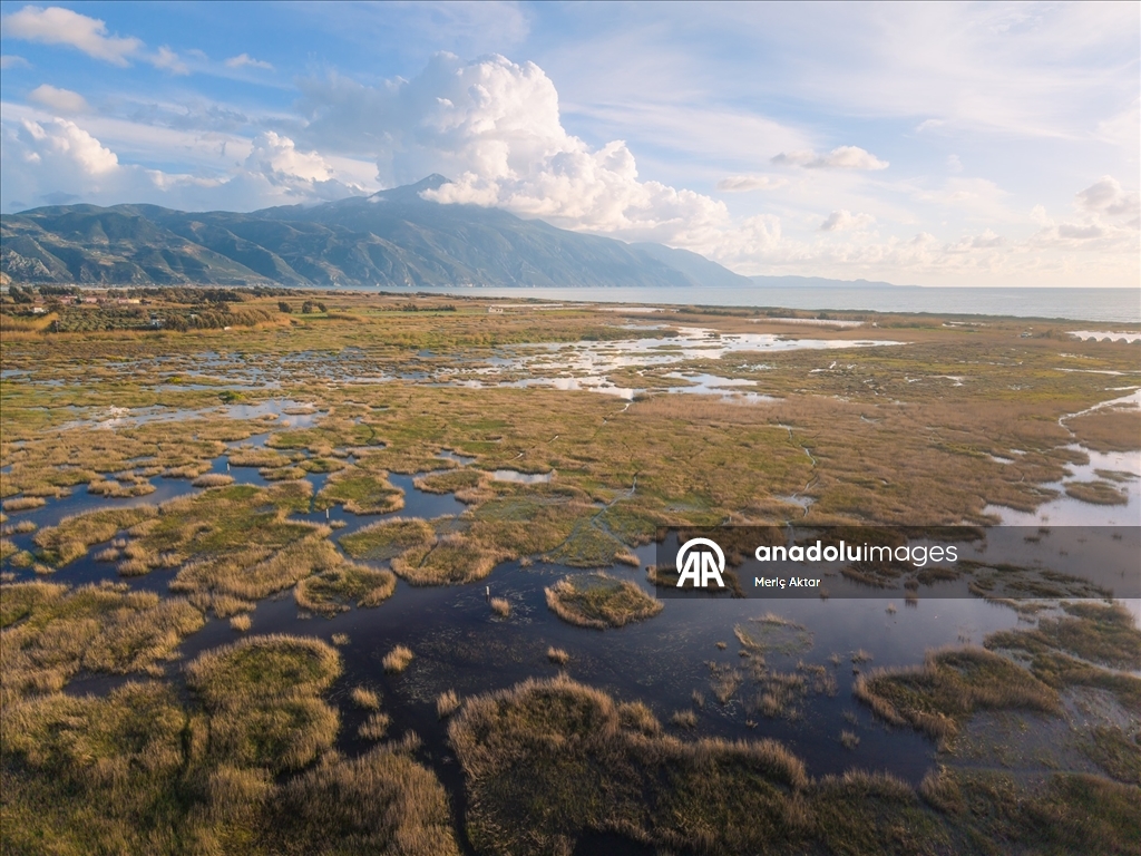 Milleyha Sulak Alanı göçmen kuşlara ev sahipliği yapıyor