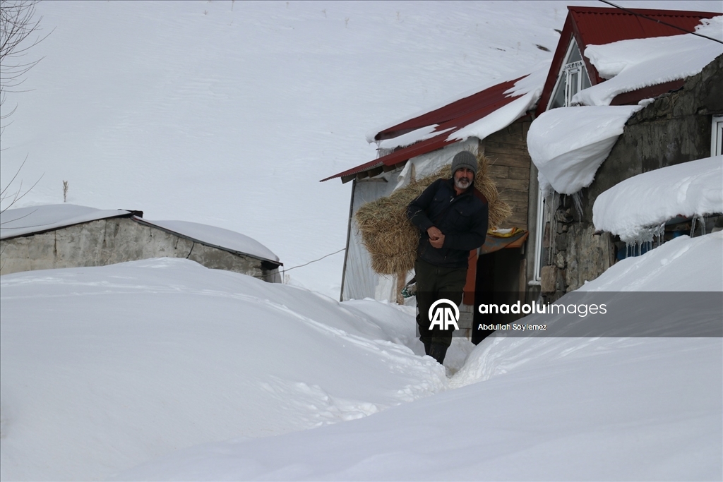 Baharda ev ve ahırların kara gömüldüğü Ağrı'nın köylerinde yaşam zorlu geçiyor