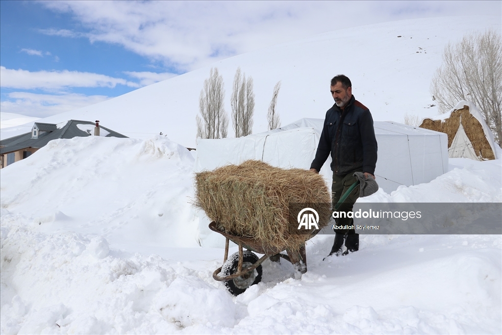 Baharda ev ve ahırların kara gömüldüğü Ağrı'nın köylerinde yaşam zorlu geçiyor