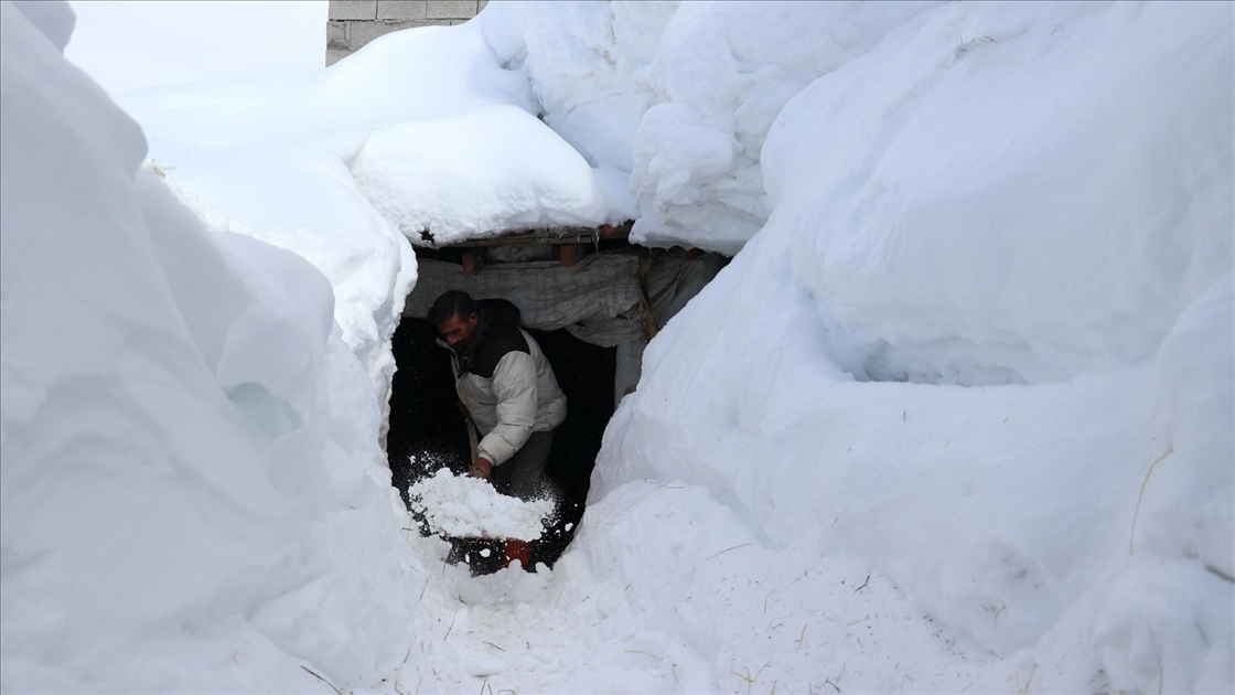 Baharda ev ve ahırların kara gömüldüğü Ağrı'nın köylerinde yaşam zorlu geçiyor