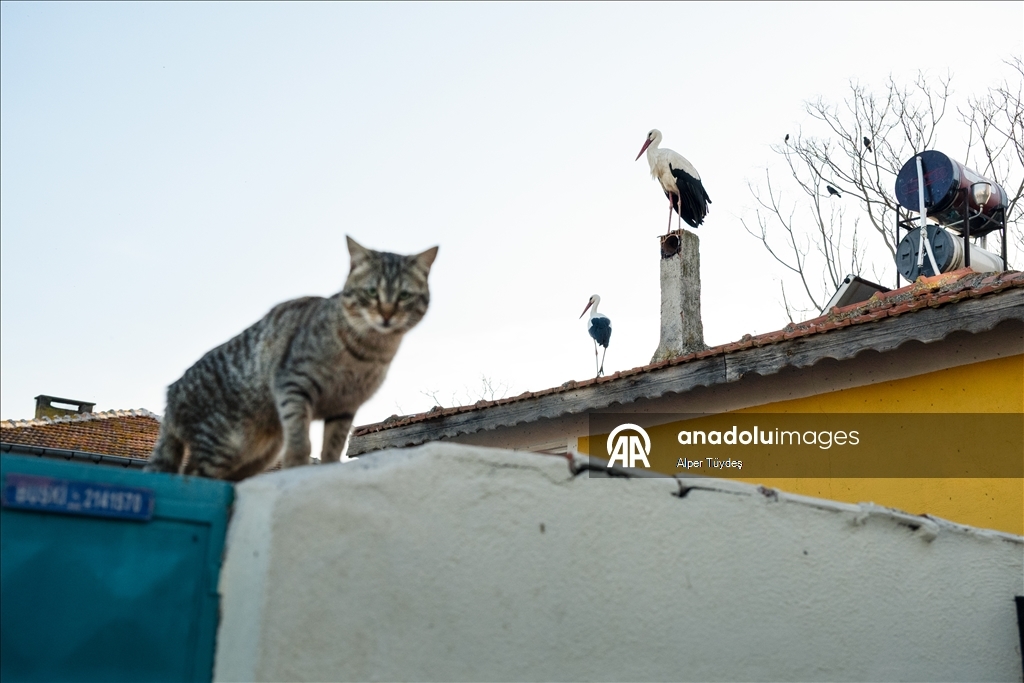 Yaren Leylek bu kez eşiyle görüntülendi