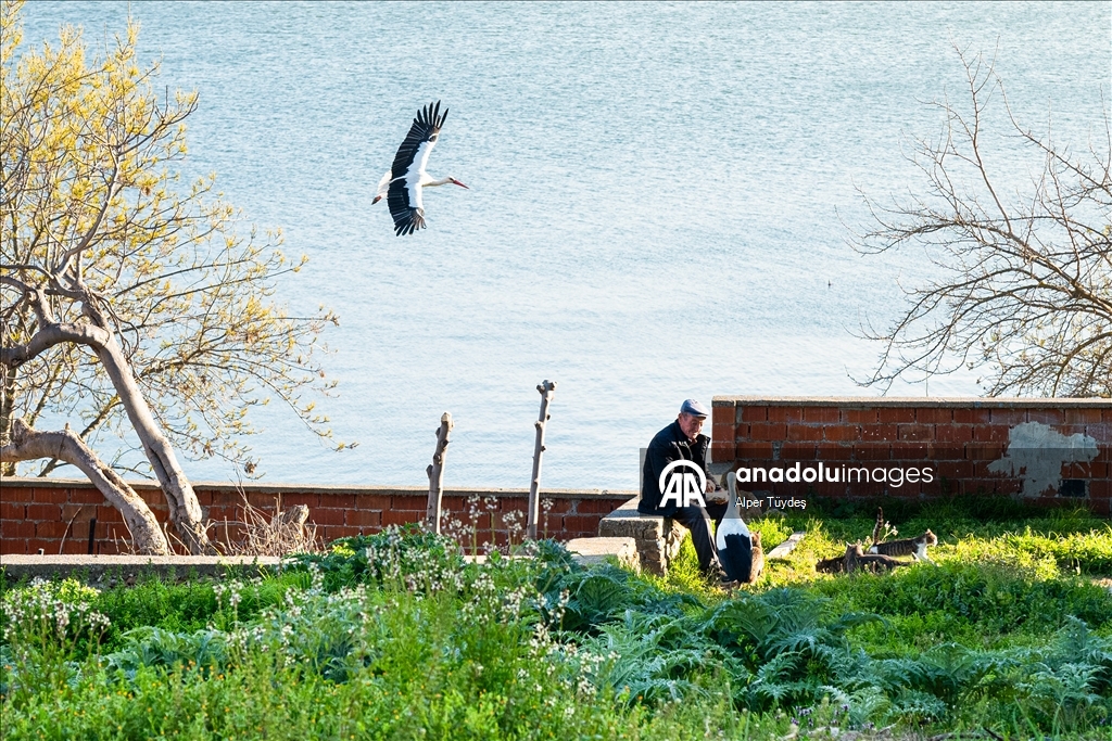 Yaren Leylek bu kez eşiyle görüntülendi