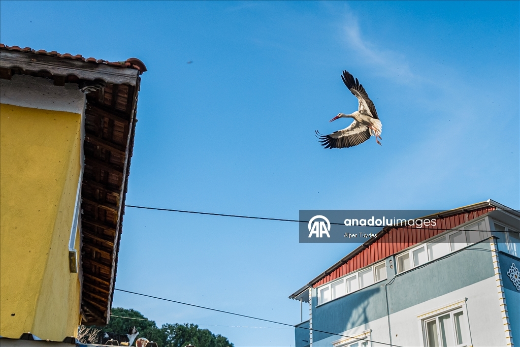 Yaren Leylek bu kez eşiyle görüntülendi
