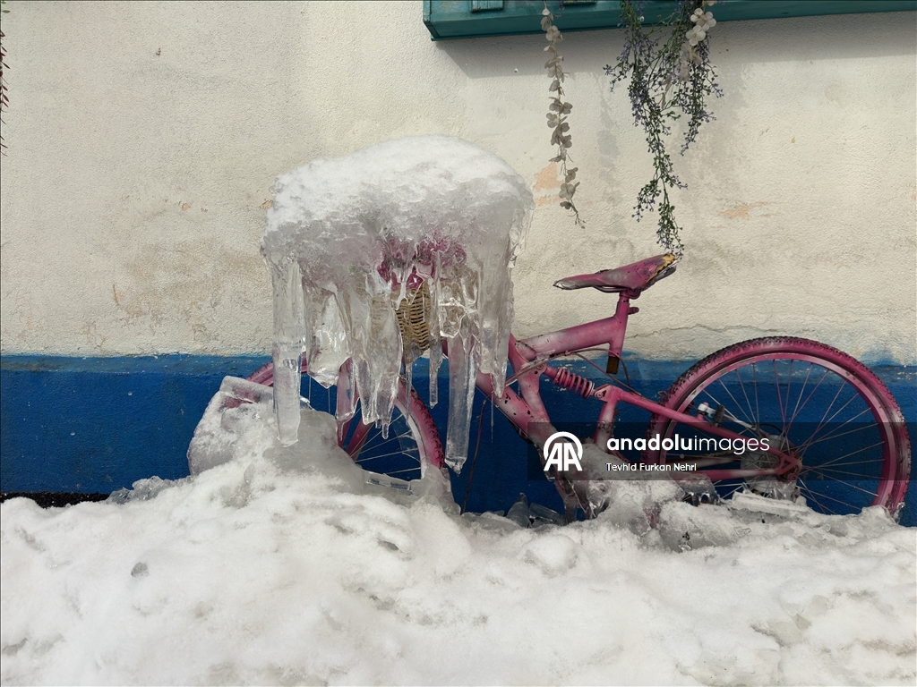 Erzurum'da kar yağışı ve soğuk hava etkili oldu