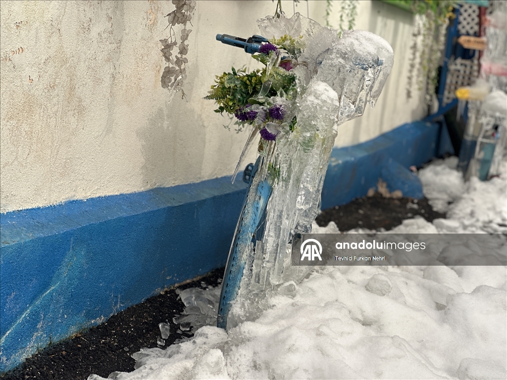 Erzurum'da kar yağışı ve soğuk hava etkili oldu