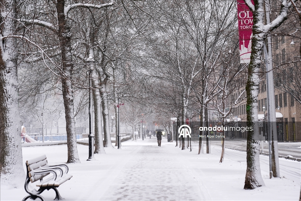 Сильный снегопад накрыл Торонто