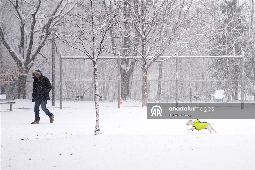 Сильный снегопад накрыл Торонто