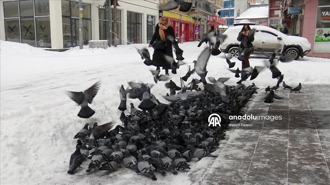 Kars'ta kar yağışı ve soğuk hava etkili oldu