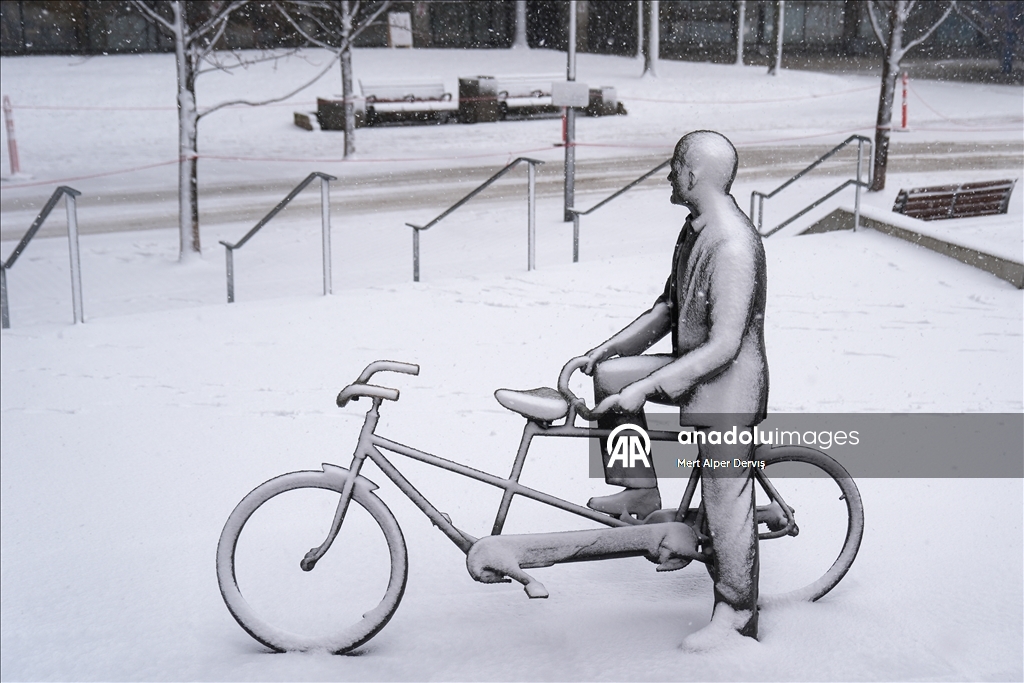 Сильный снегопад накрыл Торонто