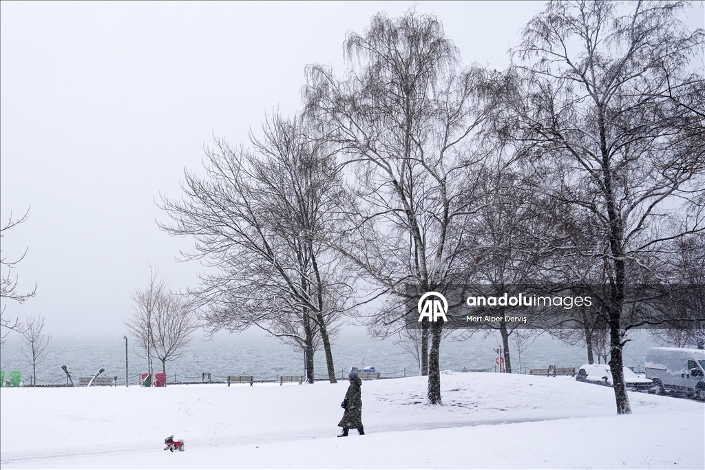 Сильный снегопад накрыл Торонто