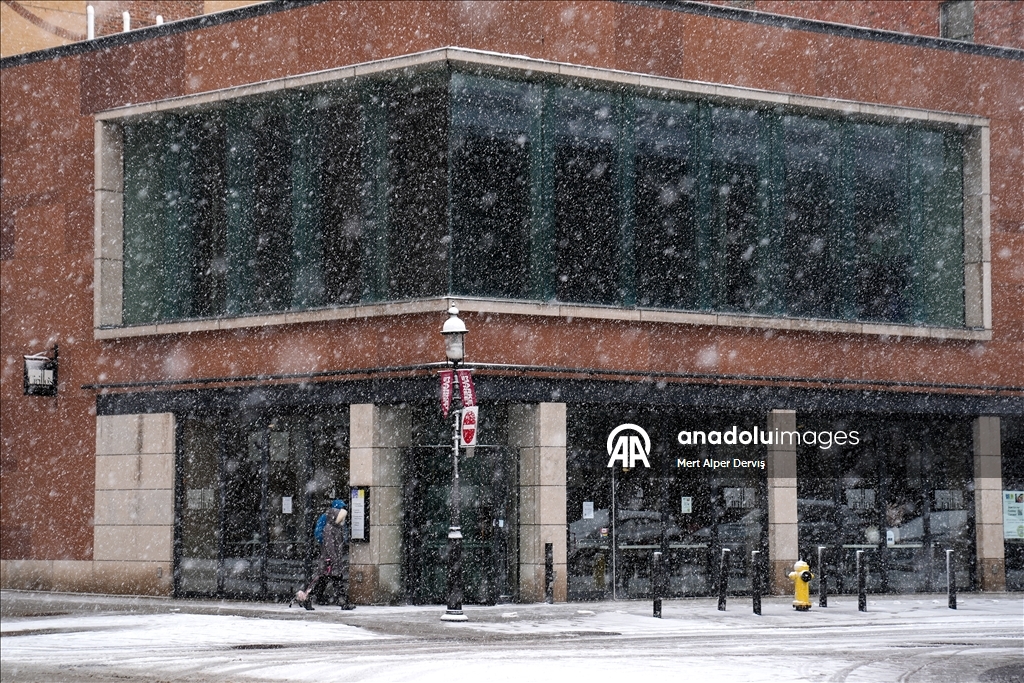 Сильный снегопад накрыл Торонто