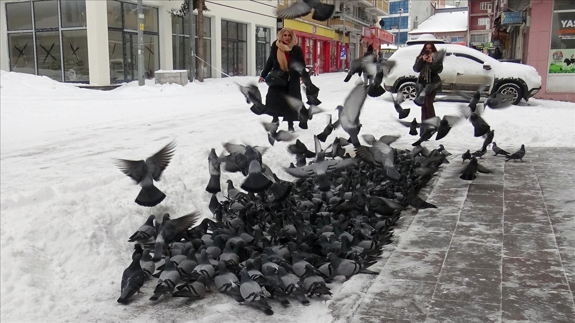 Doğuda kar ile soğuk hava etkili oluyor