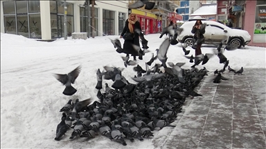 Doğuda kar ile soğuk hava etkili oluyor