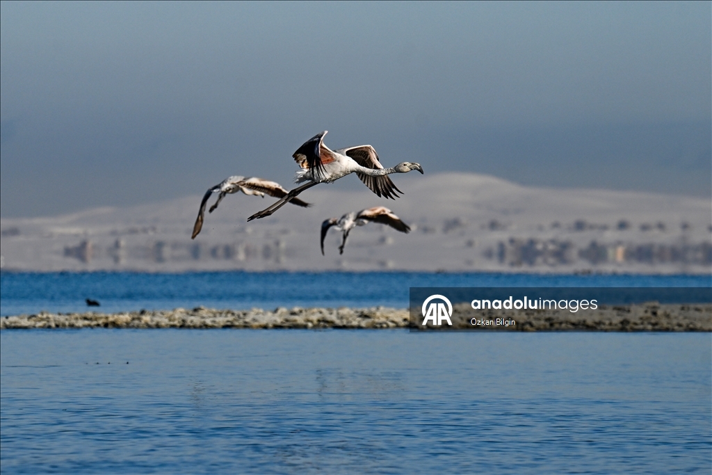 Снежный сюрприз для гостей озера Ван