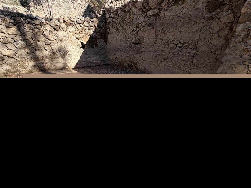 В античном городе возрастом 3 тысячи лет обнаружена мозаика с надписью «пусть завистники лопнут»