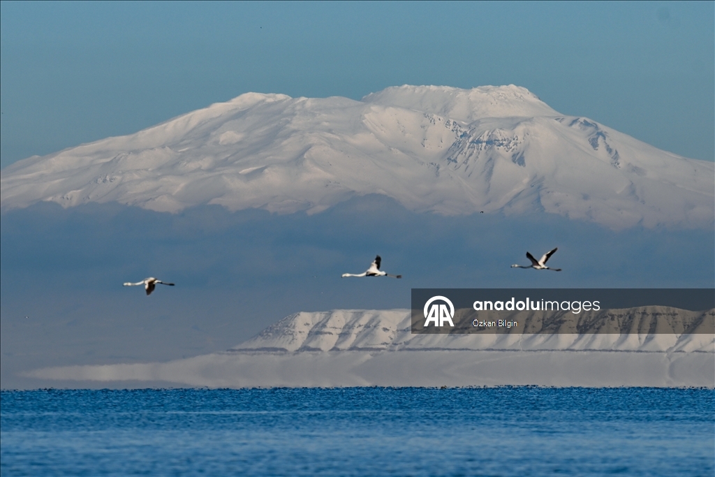 Снежный сюрприз для гостей озера Ван
