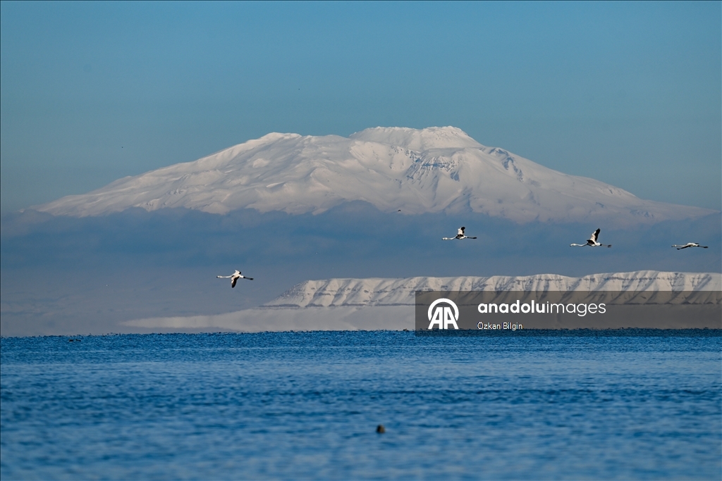 Снежный сюрприз для гостей озера Ван