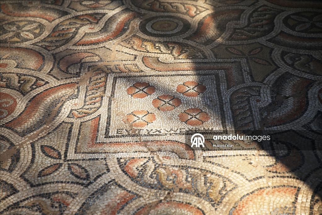 В античном городе возрастом 3 тысячи лет обнаружена мозаика с надписью «пусть завистники лопнут»