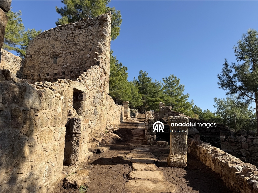 В античном городе возрастом 3 тысячи лет обнаружена мозаика с надписью «пусть завистники лопнут»