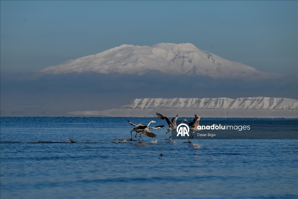 Снежный сюрприз для гостей озера Ван