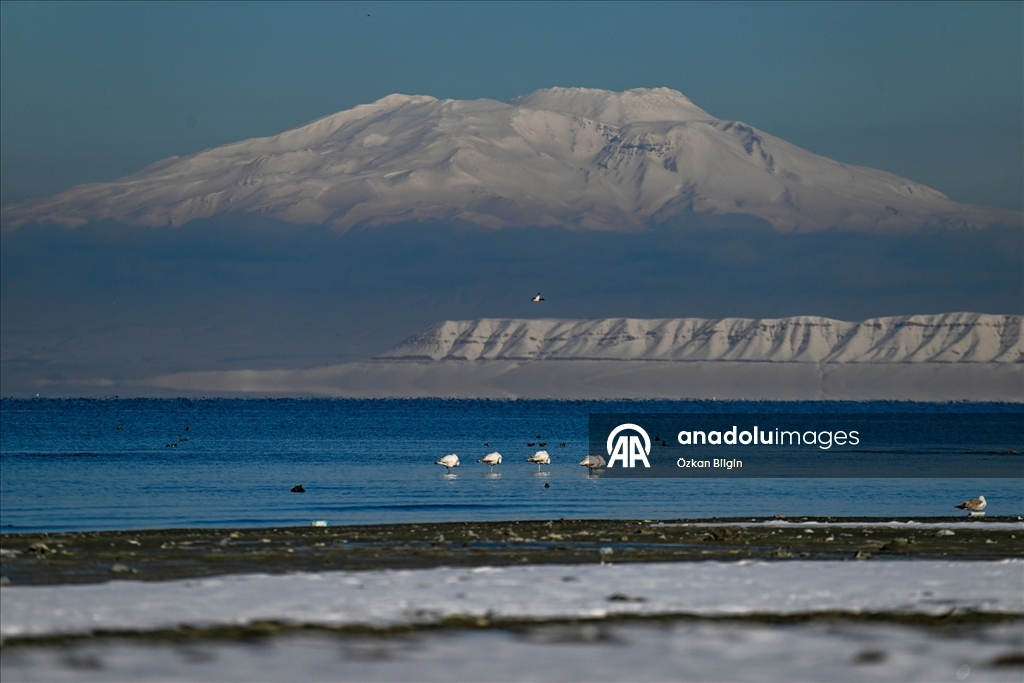 Van Gölü'nün misafirlerine kar sürprizi